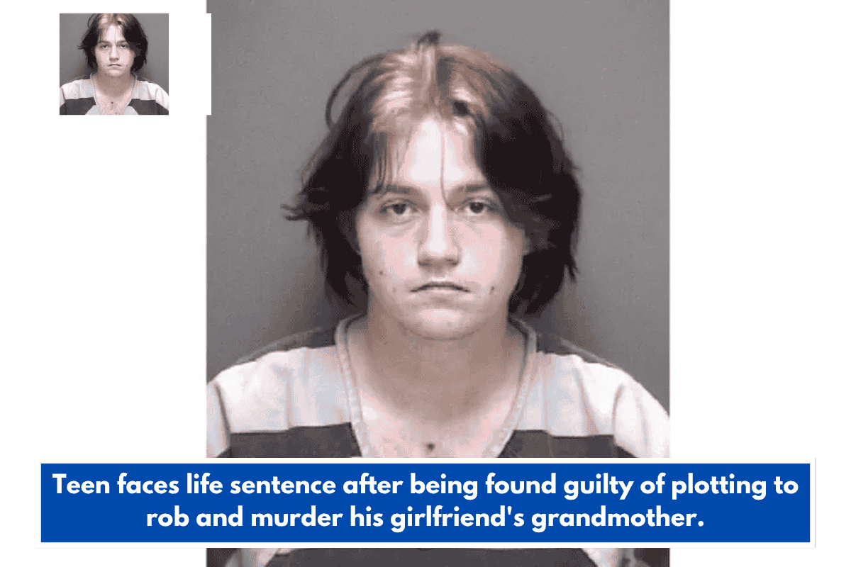 Teen faces life sentence after being found guilty of plotting to rob and murder his girlfriend's grandmother.