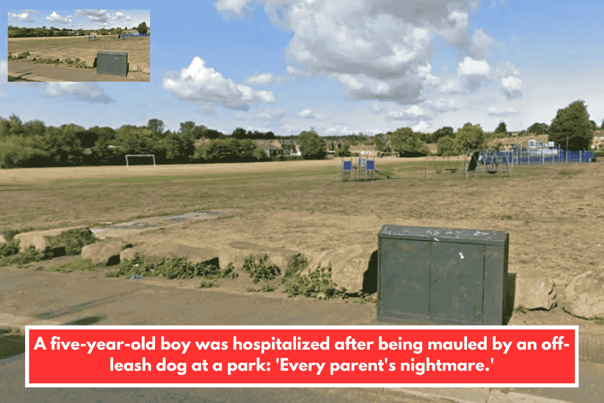 A five-year-old boy was hospitalized after being mauled by an off-leash dog at a park: 'Every parent's nightmare.'