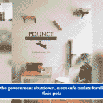 During the government shutdown, a cat cafe assists families with their pets