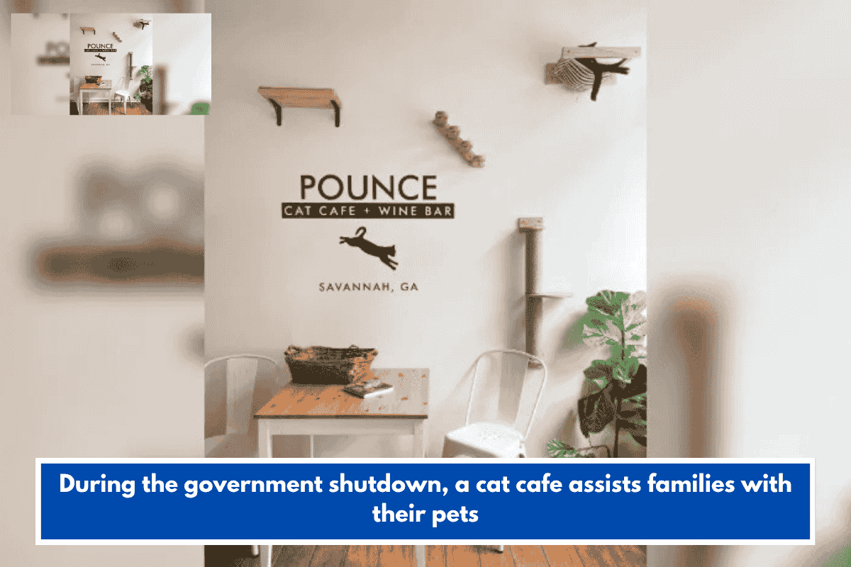 During the government shutdown, a cat cafe assists families with their pets