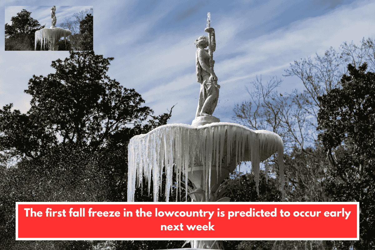 The first fall freeze in the lowcountry is predicted to occur early next week