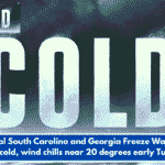 Coastal South Carolina and Georgia Freeze Warning: Bitter cold, wind chills near 20 degrees early Tuesday