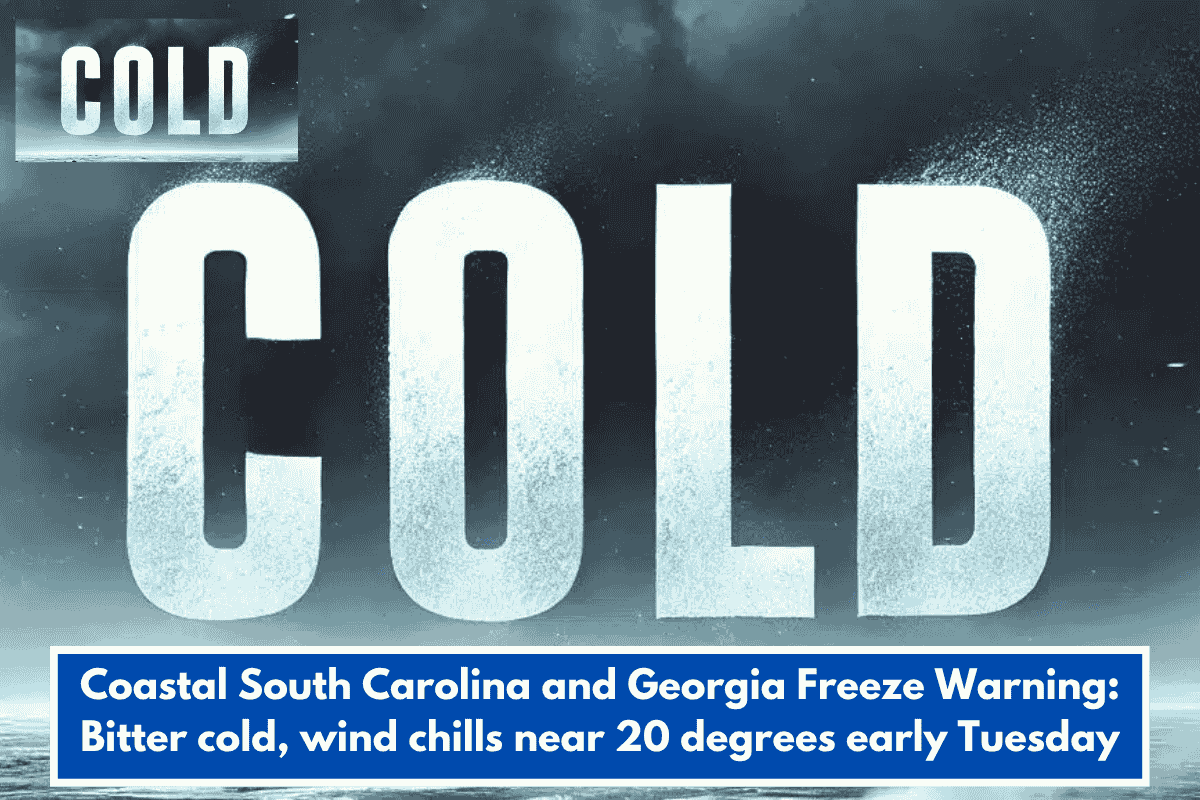 Coastal South Carolina and Georgia Freeze Warning: Bitter cold, wind chills near 20 degrees early Tuesday