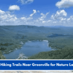 Best Hiking Trails Near Greenville for Nature Lovers