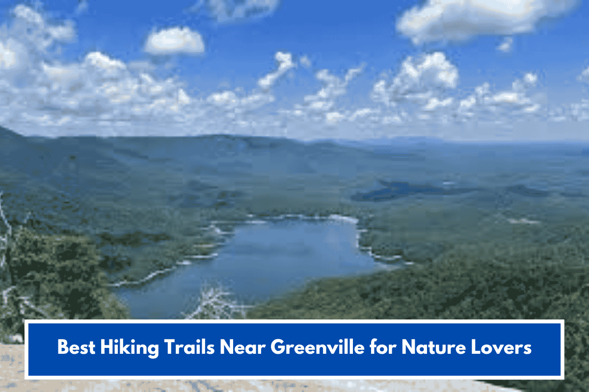 Best Hiking Trails Near Greenville for Nature Lovers