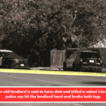 A 79-year-old landlord is said to have shot and killed a naked intruder who police say hit the landlord hard and broke both legs