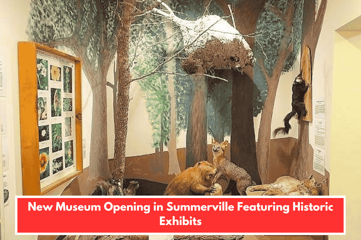New Museum Opening in Summerville Featuring Historic Exhibits