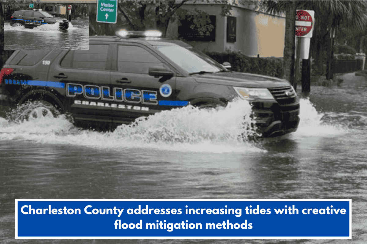 Charleston County addresses increasing tides with creative flood mitigation methods