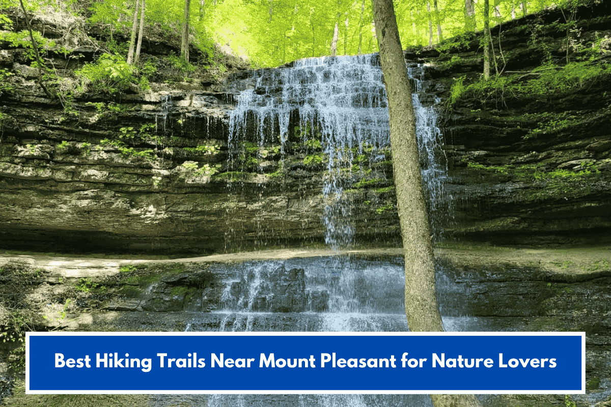 Best Hiking Trails Near Mount Pleasant for Nature Lovers