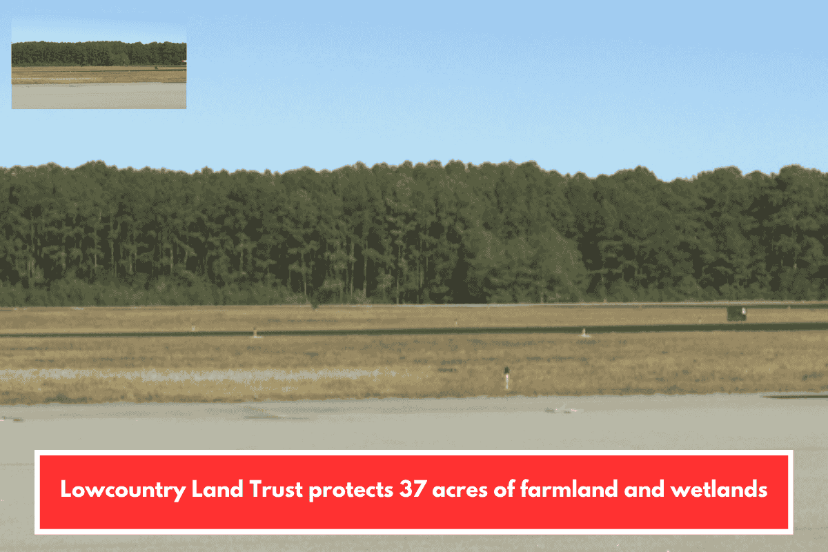 Lowcountry Land Trust protects 37 acres of farmland and wetlands