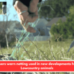 Rescuers warn netting used in new developments harms Lowcountry animals