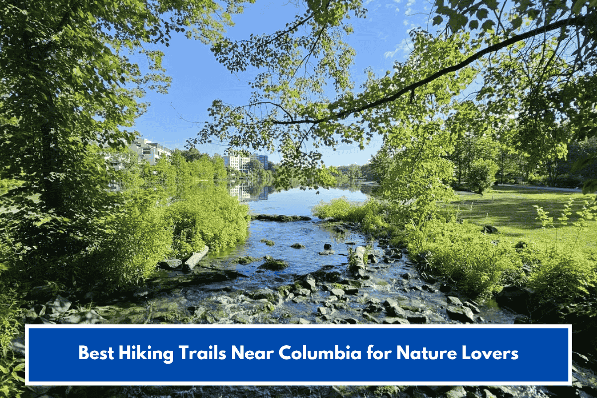 Best Hiking Trails Near Columbia for Nature Lovers