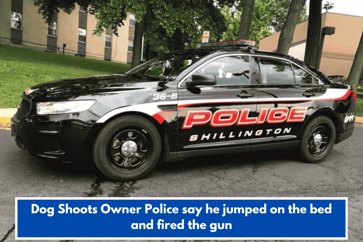 Dog Shoots Owner Police say he jumped on the bed and fired the gun
