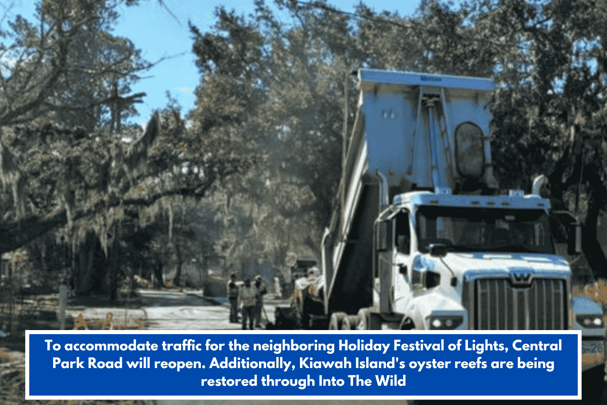 To accommodate traffic for the neighboring Holiday Festival of Lights, Central Park Road will reopen. Additionally, Kiawah Island's oyster reefs are being restored through Into The Wild