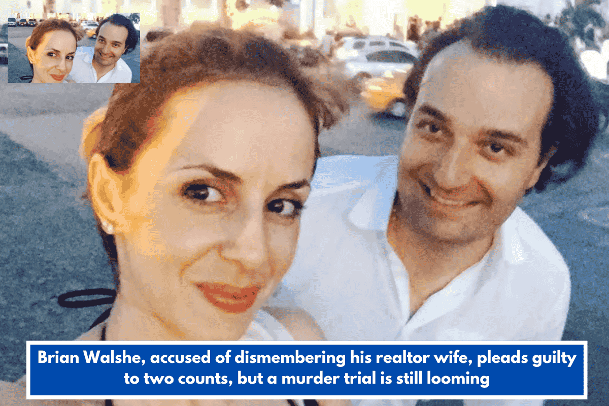 Brian Walshe, accused of dismembering his realtor wife, pleads guilty to two counts, but a murder trial is still looming