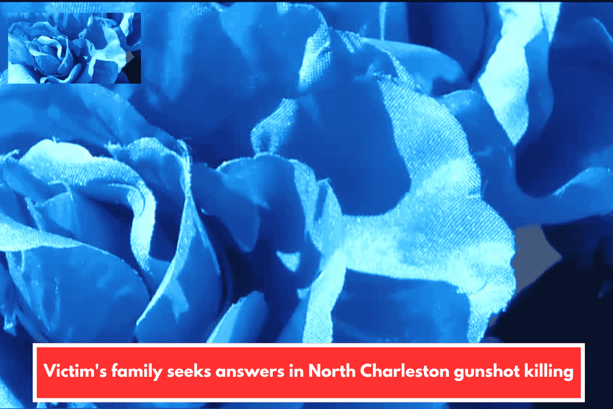 Victim's family seeks answers in North Charleston gunshot killing