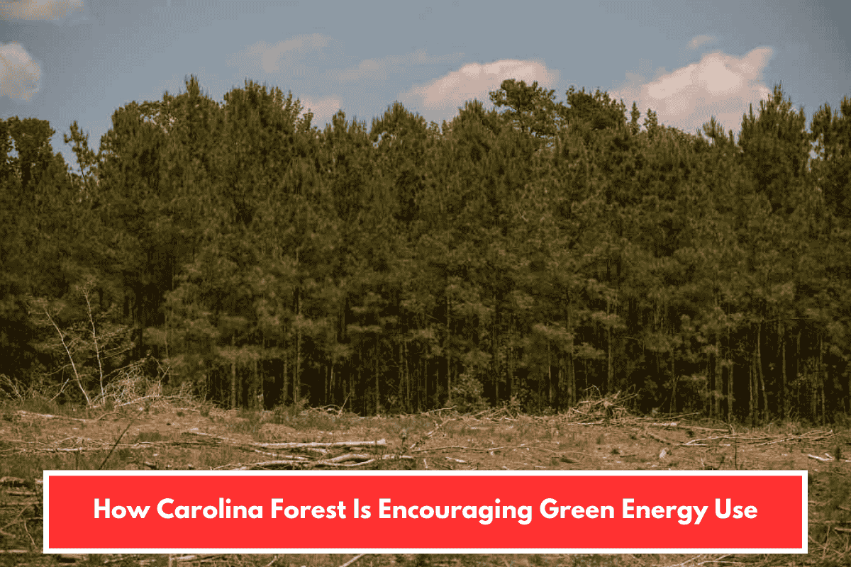 How Carolina Forest Is Encouraging Green Energy Use