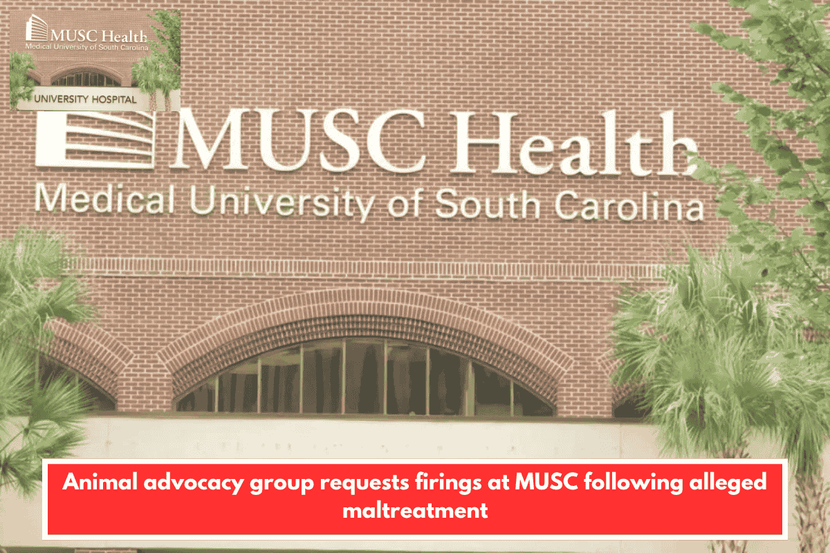 Animal advocacy group requests firings at MUSC following alleged maltreatment