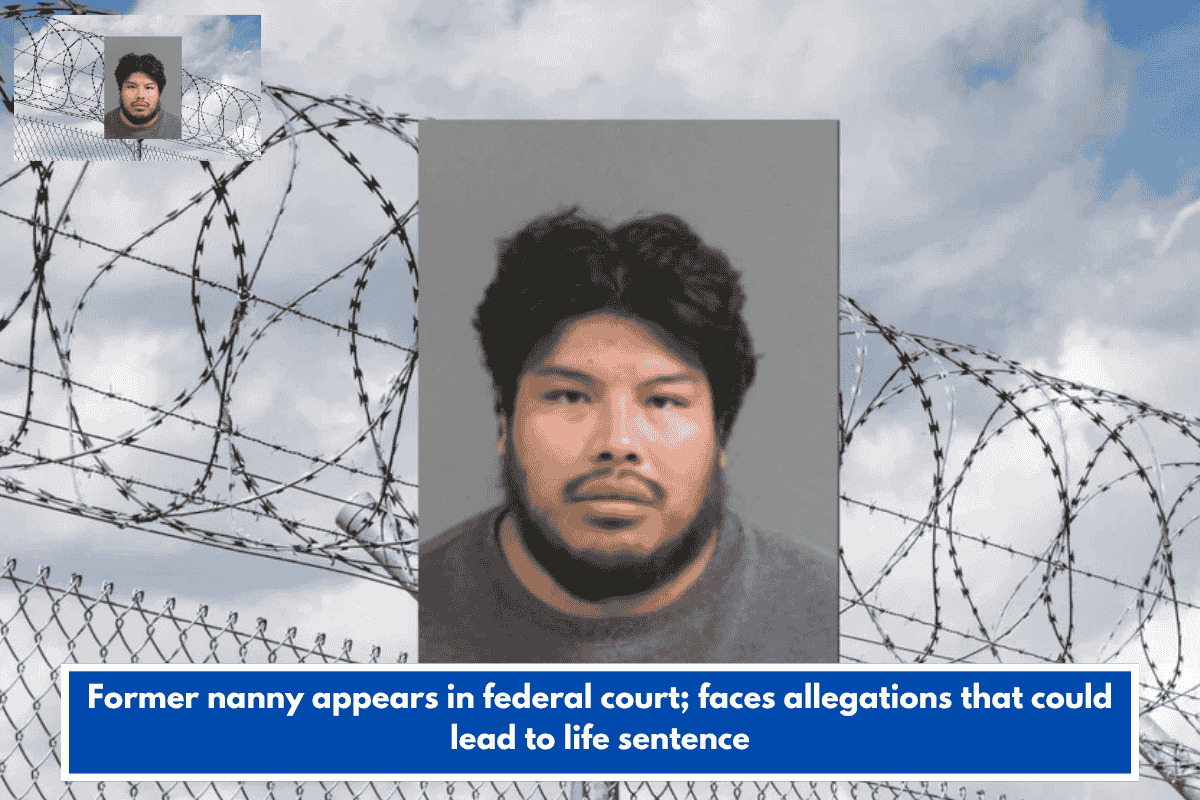 Former nanny appears in federal court; faces allegations that could lead to life sentence
