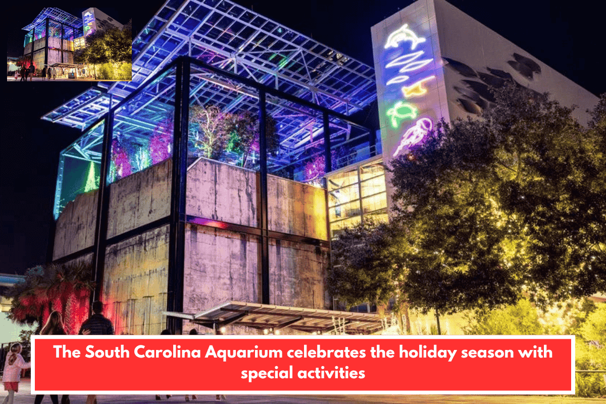 The South Carolina Aquarium celebrates the holiday season with special activities