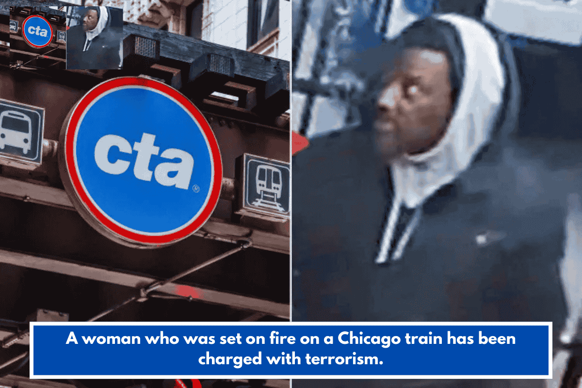 A woman who was set on fire on a Chicago train has been charged with terrorism.