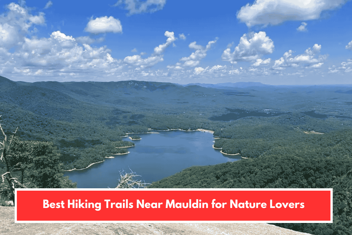 Best Hiking Trails Near Mauldin for Nature Lovers