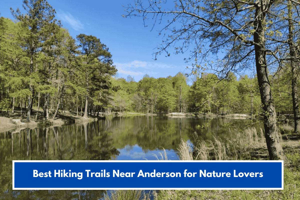 Best Hiking Trails Near Anderson for Nature Lovers