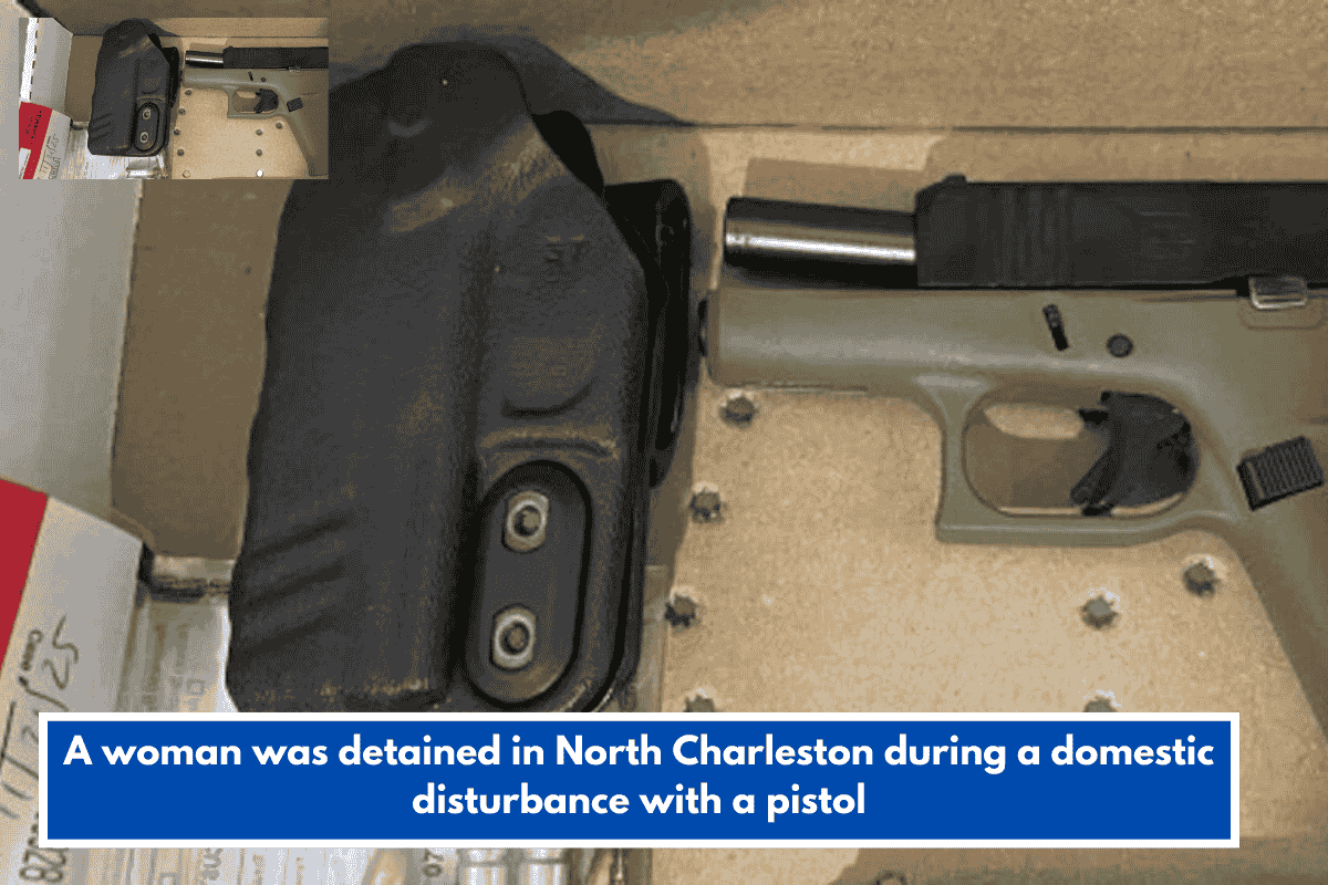 A woman was detained in North Charleston during a domestic disturbance with a pistol