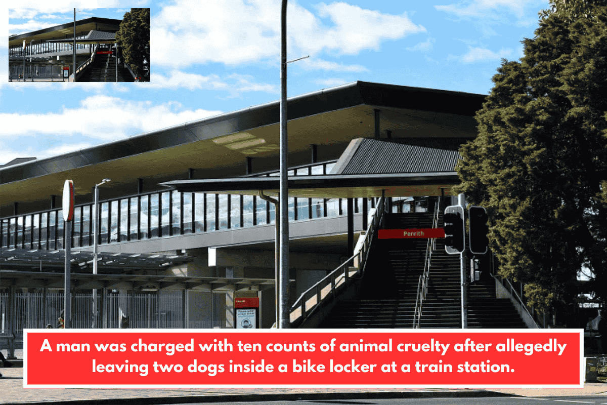 A man was charged with ten counts of animal cruelty after allegedly leaving two dogs inside a bike locker at a train station.