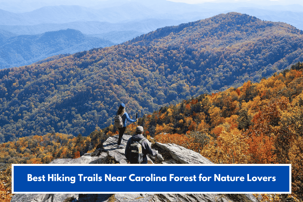 Best Hiking Trails Near Carolina Forest for Nature Lovers