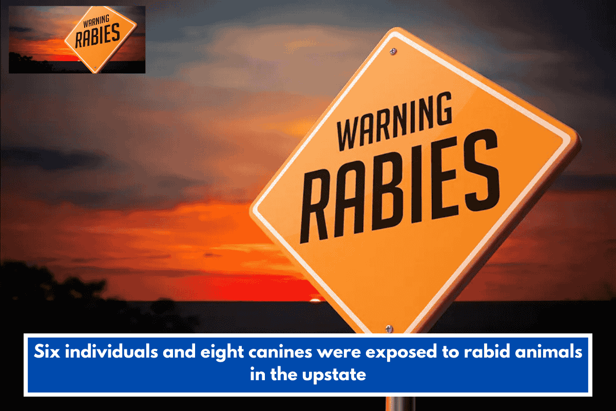 Six individuals and eight canines were exposed to rabid animals in the upstate