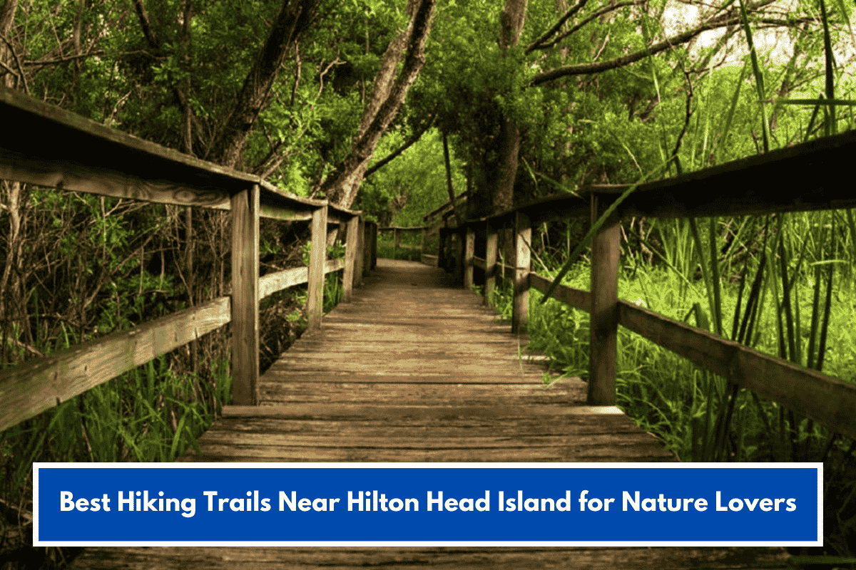 Best Hiking Trails Near Hilton Head Island for Nature Lovers