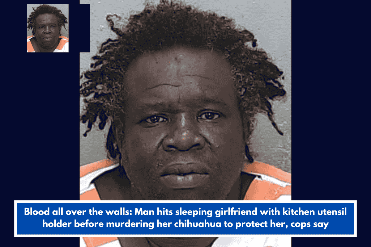 Blood all over the walls: Man hits sleeping girlfriend with kitchen utensil holder before murdering her chihuahua to protect her, cops say