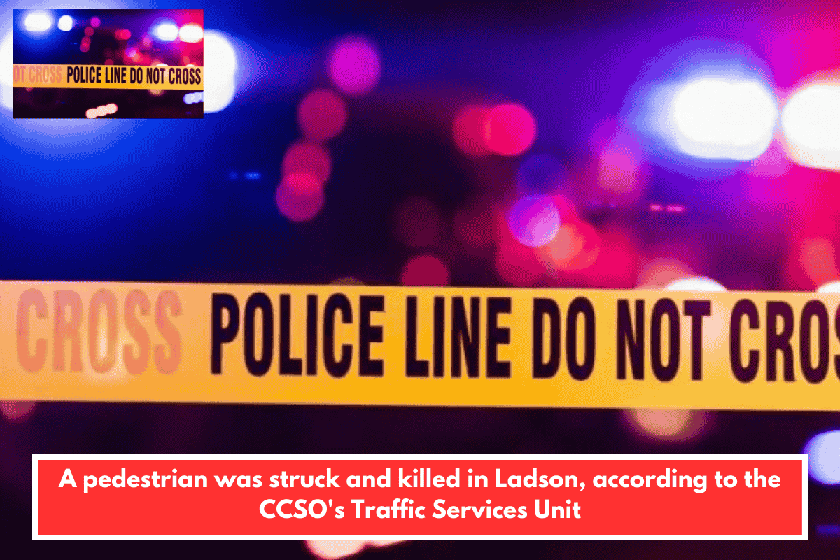 A pedestrian was struck and killed in Ladson, according to the CCSO's Traffic Services Unit