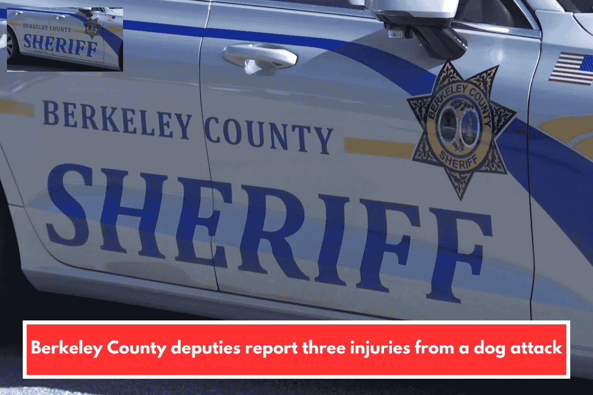 Berkeley County deputies report three injuries from a dog attack