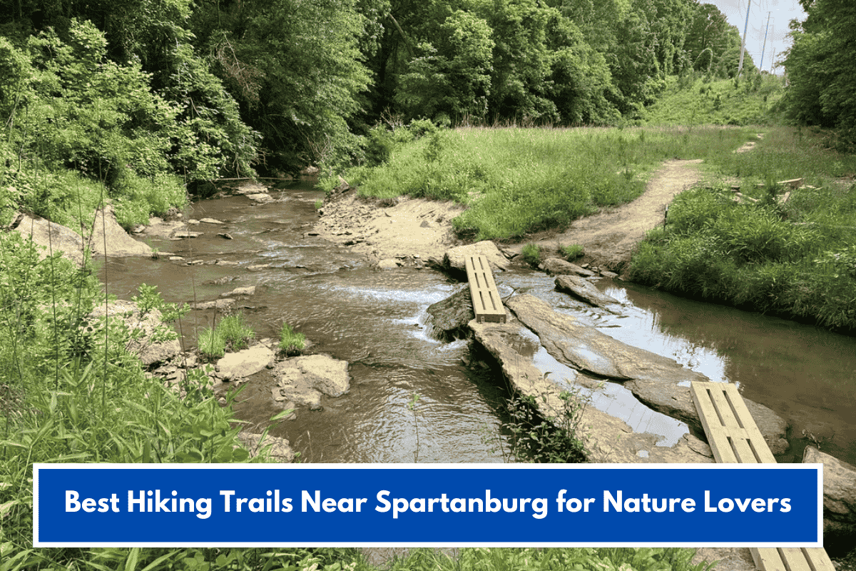 Best Hiking Trails Near Spartanburg for Nature Lovers
