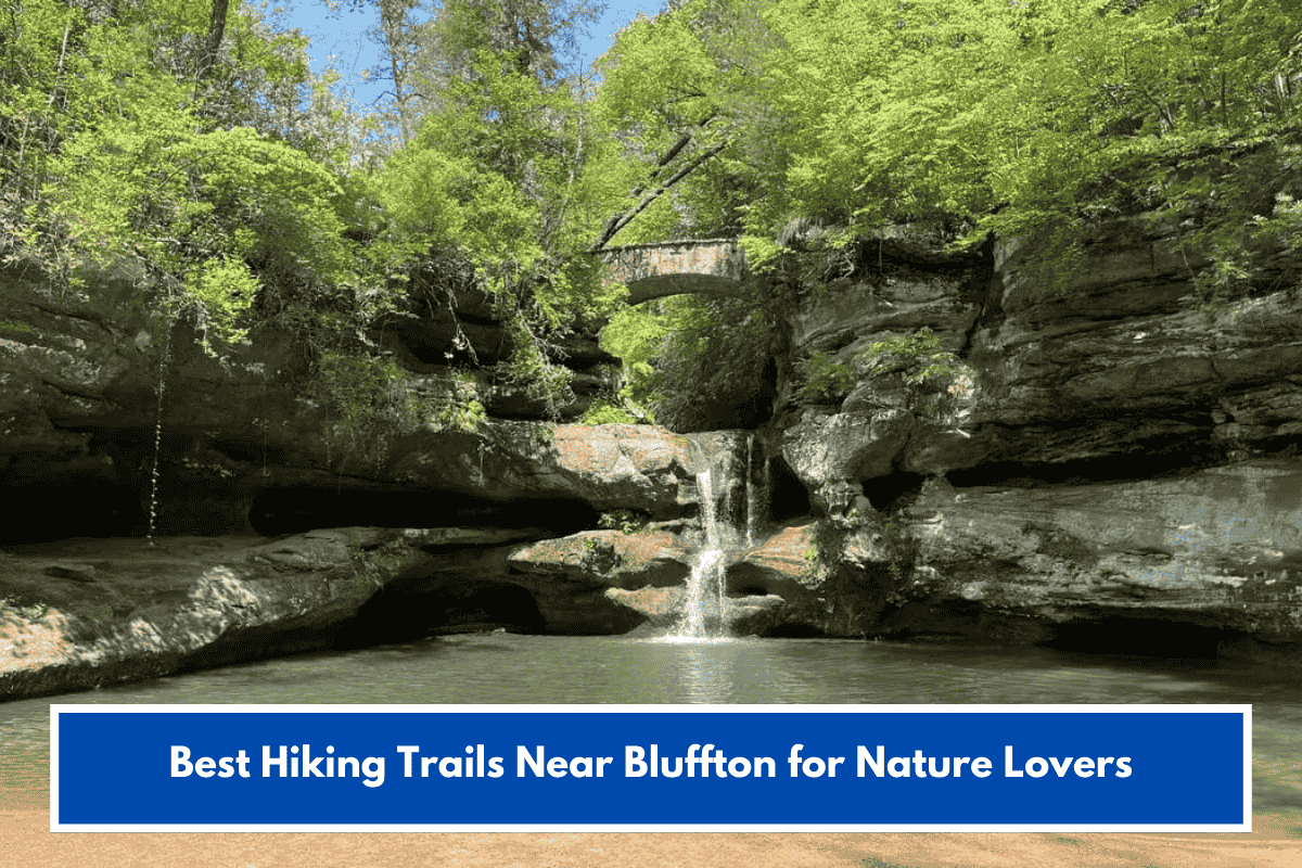 Best Hiking Trails Near Bluffton for Nature Lovers
