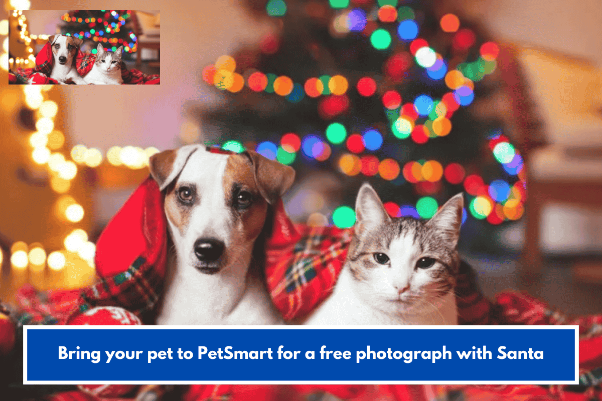Bring your pet to PetSmart for a free photograph with Santa