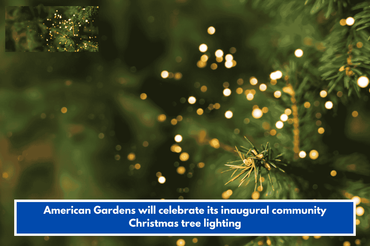 American Gardens will celebrate its inaugural community Christmas tree lighting