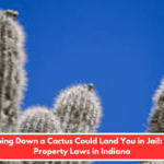 Chopping Down a Cactus Could Land You in Jail: Weird Property Laws in Indiana