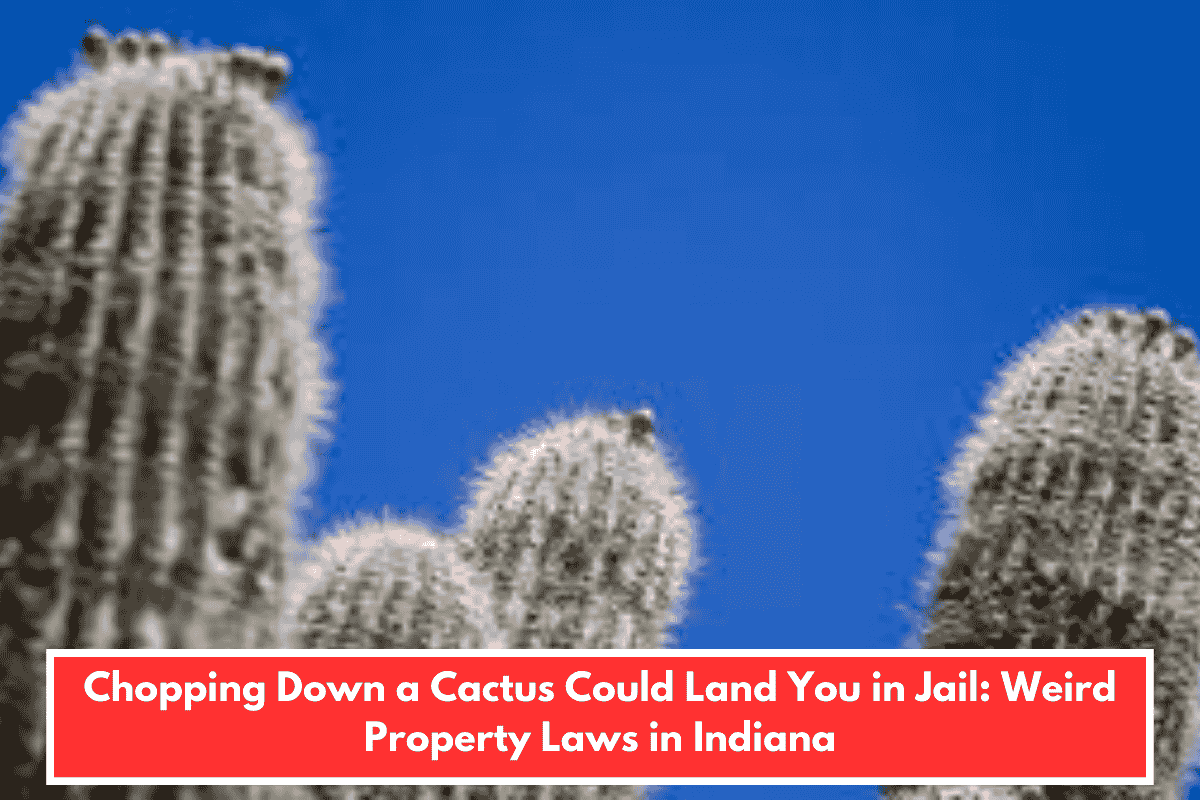 Chopping Down a Cactus Could Land You in Jail: Weird Property Laws in Indiana