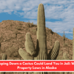 Chopping Down a Cactus Could Land You in Jail: Weird Property Laws in Alaska