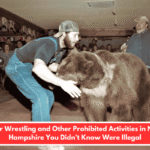 Bear Wrestling and Other Prohibited Activities in New Hampshire You Didn't Know Were Illegal