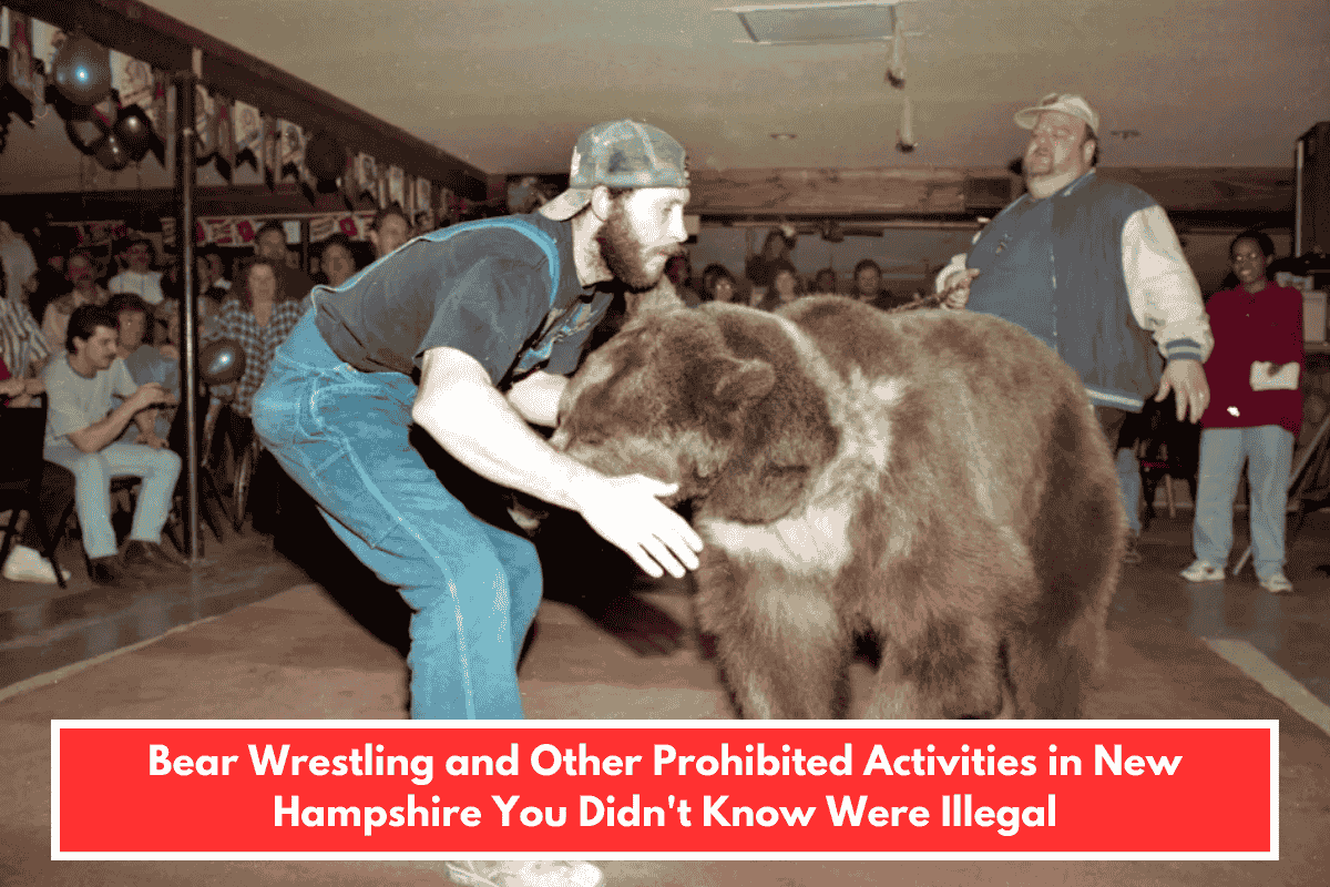 Bear Wrestling and Other Prohibited Activities in New Hampshire You Didn't Know Were Illegal
