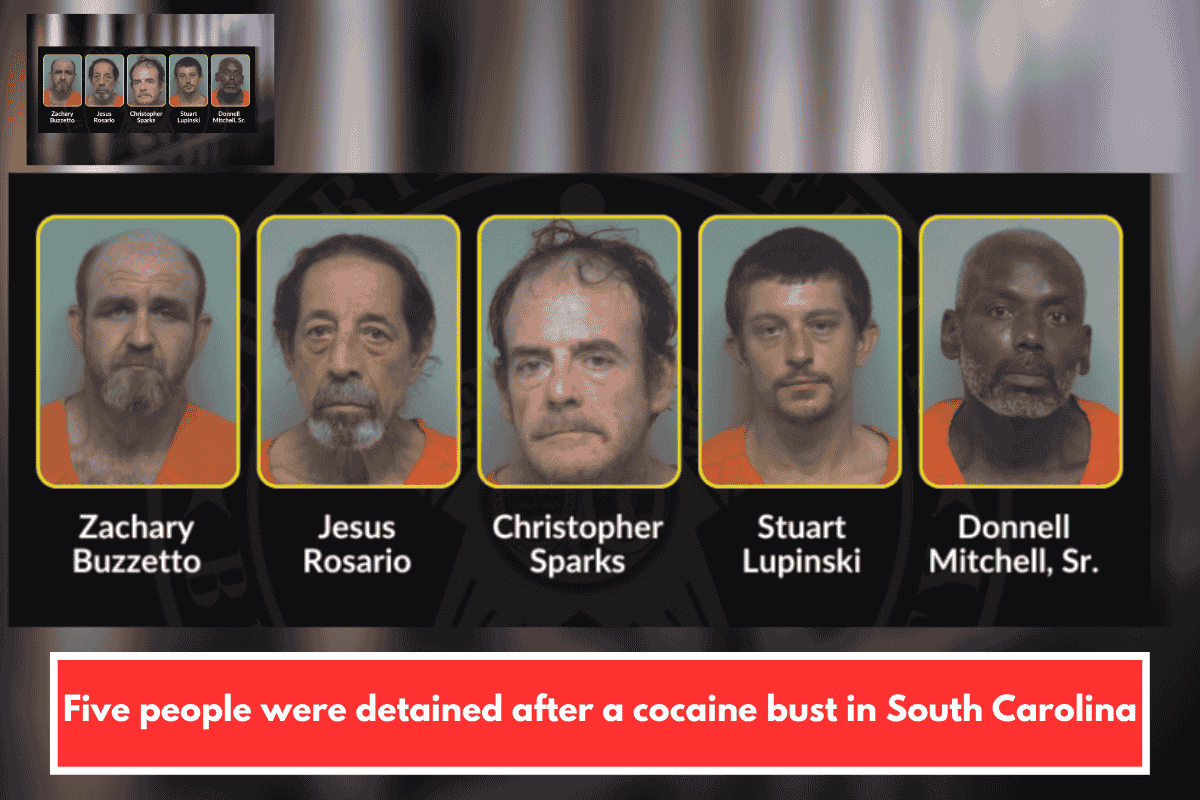 Five people were detained after a cocaine bust in South Carolina