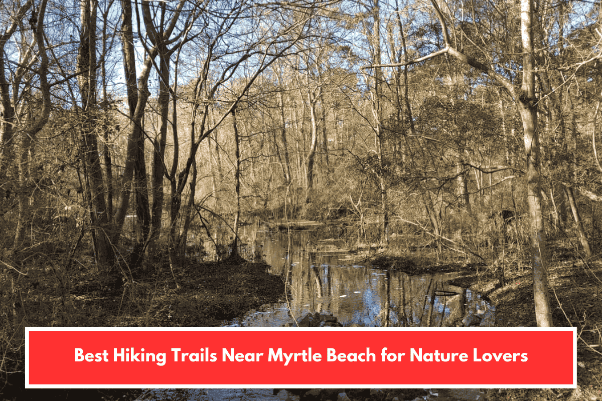 Best Hiking Trails Near Myrtle Beach for Nature Lovers