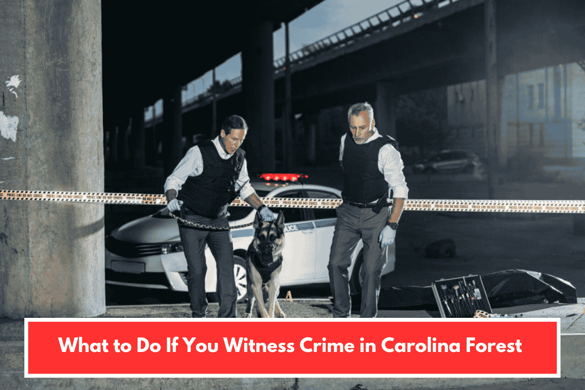 What to Do If You Witness Crime in Carolina Forest