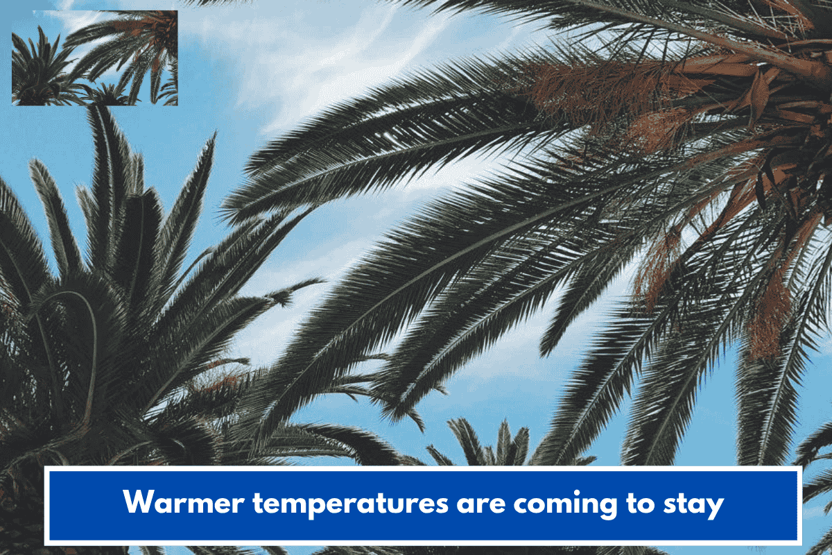 Warmer temperatures are coming to stay