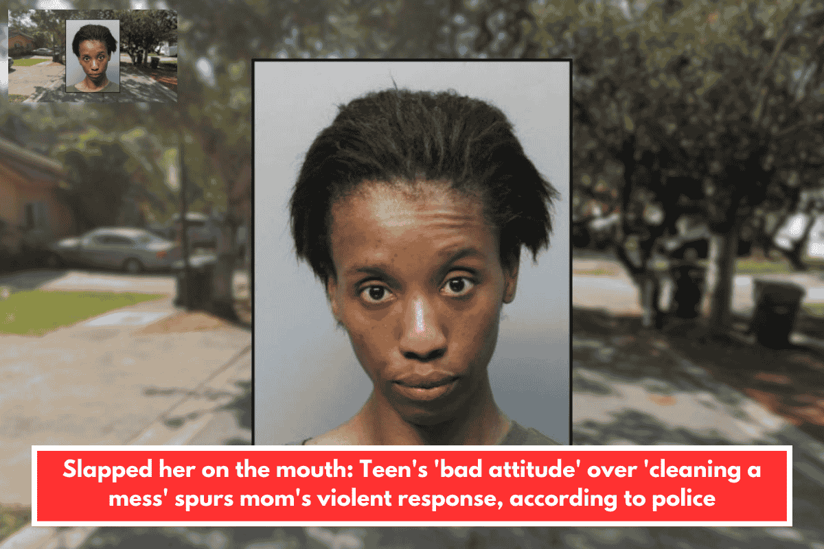 Slapped her on the mouth: Teen's 'bad attitude' over 'cleaning a mess' spurs mom's violent response, according to police