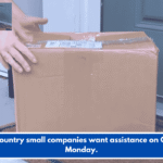 Lowcountry small companies want assistance on Cyber Monday.